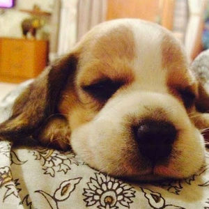 Meet your Posher, Pratham